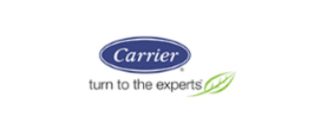 Carrier